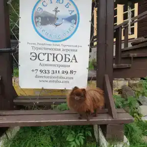 Эстюба - 47