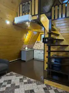 Скворцы - 5