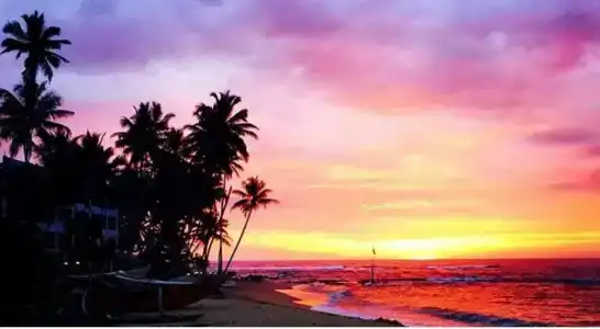 Cool Beach - 14