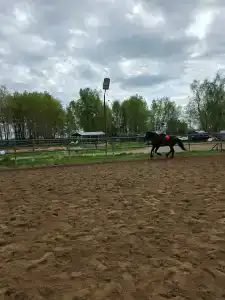 Храброво - 31