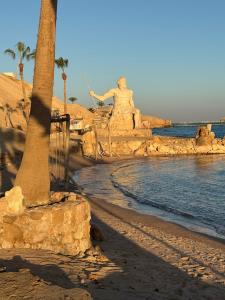 Albatros Citadel Resort - 24