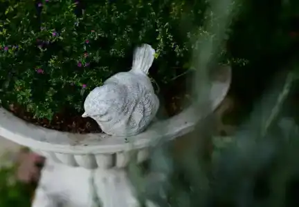 Yoo Yen Pen Sook - 31