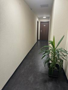 Capitol Zentrum - 24h - - 24