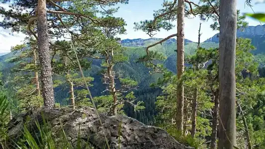 Мельница - 6