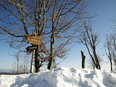 Avital Resort - 26