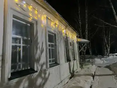 Морошка - 24