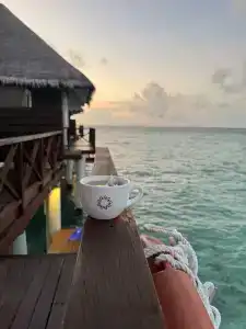 Sun Siyam Vilu Reef - 19