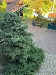 4 Сезона - 32