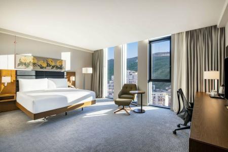 Hilton Garden Inn Tbilisi Chavchavadze - 36