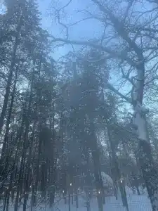 ПриродаРОДА - 67