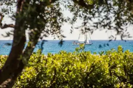 Grand Diana Majestic - 30