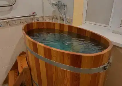 Лотос - 2