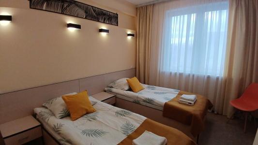 Стрекоза - 96