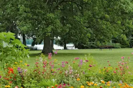 Seepark am Wandlitzsee - 12