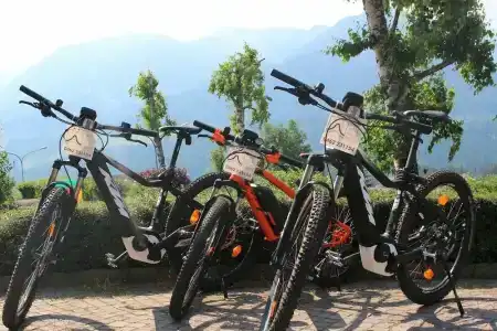 Park Bellacosta - 48