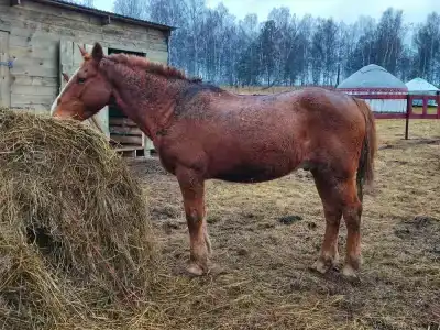 Шайтан-Кудей - 8
