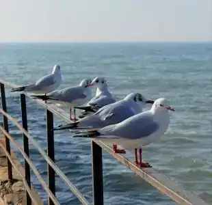 Вилла Семейная Гавань - 43