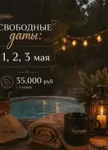 Багира - 23
