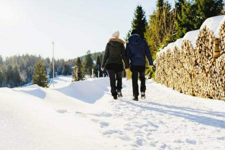 Das Wald- Genuss & Wellness am Notschreipass - 38