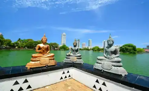 Shalimar - 6