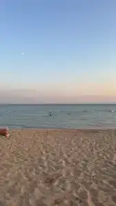 Добрый кит - 21