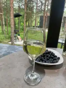 Где-то под Питером - 35