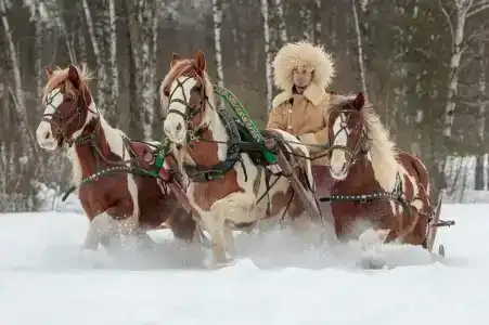 Баллада - 77