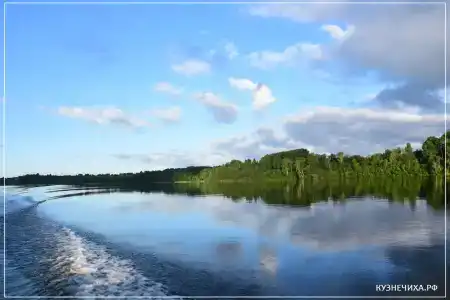 Экоферма и кемпинг Кузнечиха - 26