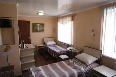Спутник - 2