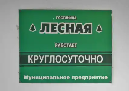 Лесная - 6