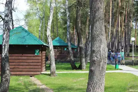 Лесная Быль - 31