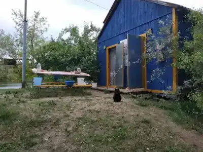 Бодрость - 72