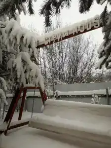 Стриж хаус - 20