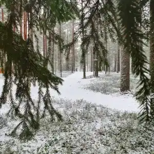 Поместье озера Сиркоярви - 19