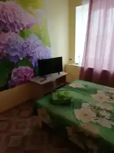 мини отель Like - 1
