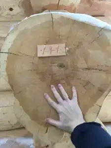 Сказочный лес - 1