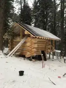 Сказочный лес - 4