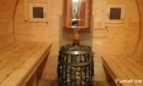Рыжий Лис - 11