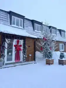 Кедровый - 46