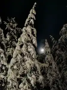 В гостях у Лешего - 22