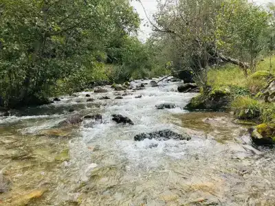 Гаралы - 6