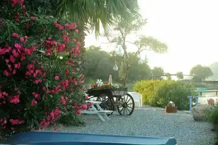 Yalicapkini Boutique - 14