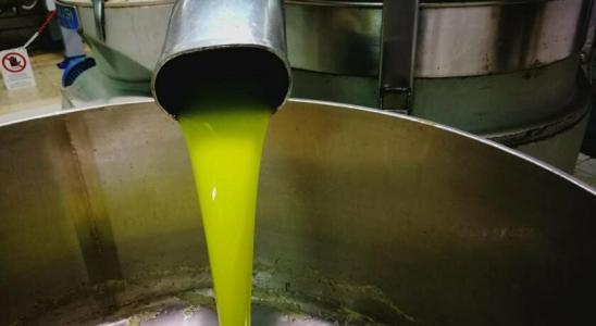 La Mimosa Case Vacanze - 39