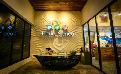 Tique Series Boutique - 48