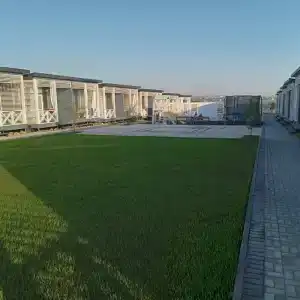 Заморем - 11