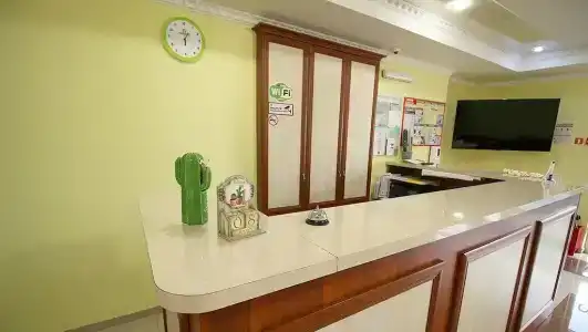 Кактус - 14