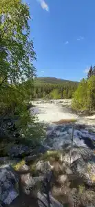 Рыболофф.ру - 7