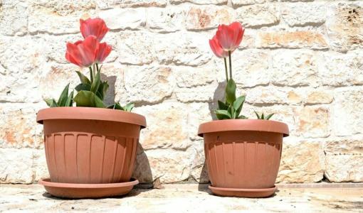 Masseria Gravelle - 40