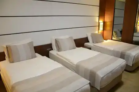 Safa Royal Museum - 18