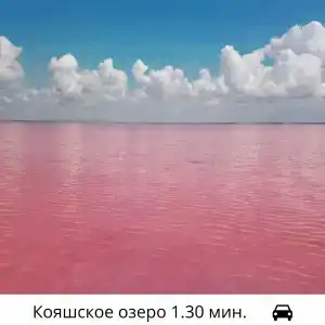Дионис - 25